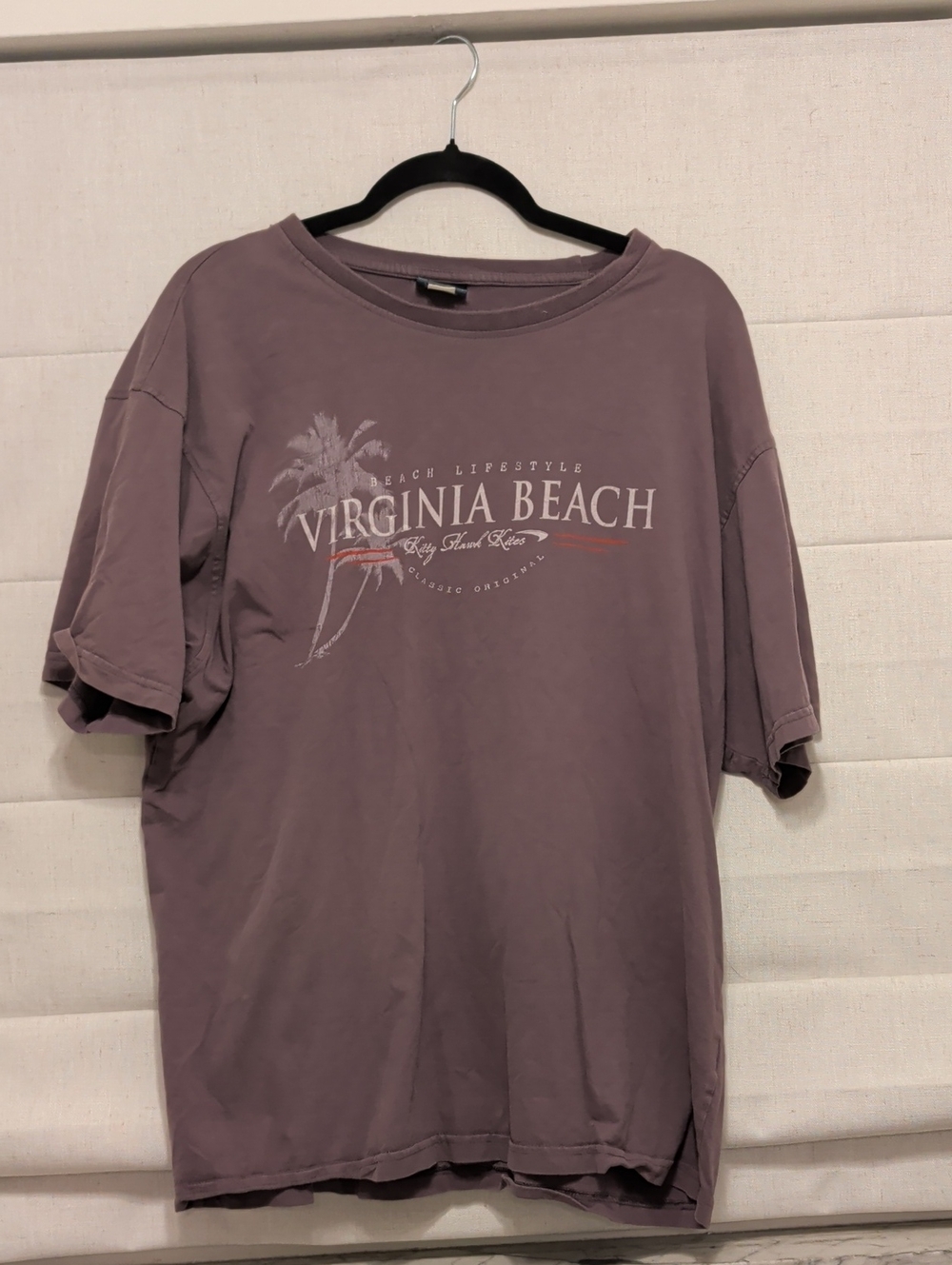 Virginia Beach Graphic Tee - Dusty Mauve